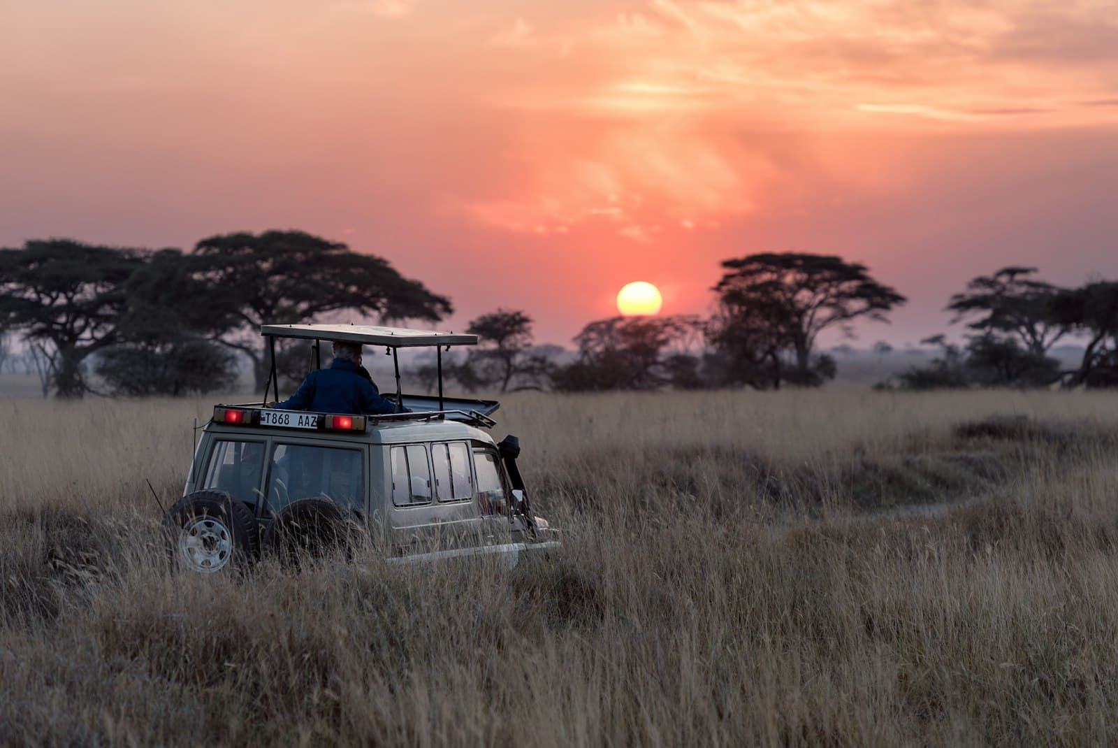 Botswana — The Untouched Wilderness — Okavango & Beyond
