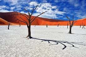 Namibia — The Desert Jewel — Ancient Landscapes & Stark Beauty
